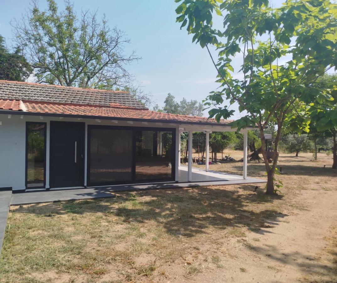 OliveGrove - B&B
