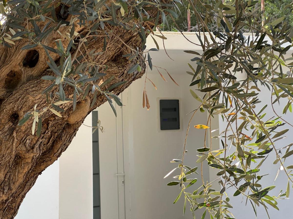 Mala Oaza Stari Bar - B&B