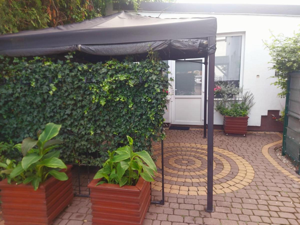Samodzielny domek Studio - 35m2 centrum Ciechanów - B&B
