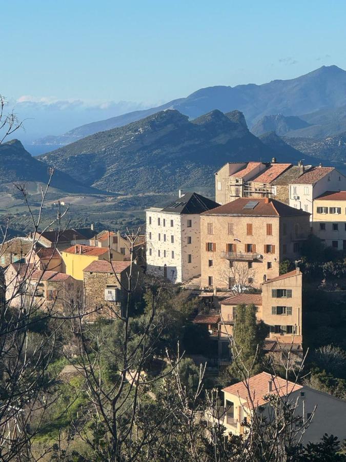 Appartement de charme - Nebbiu - Ferienwohnung Vallecalle