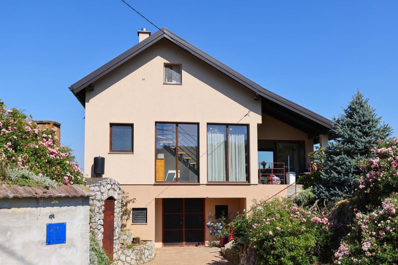 Vineyard house - B&B