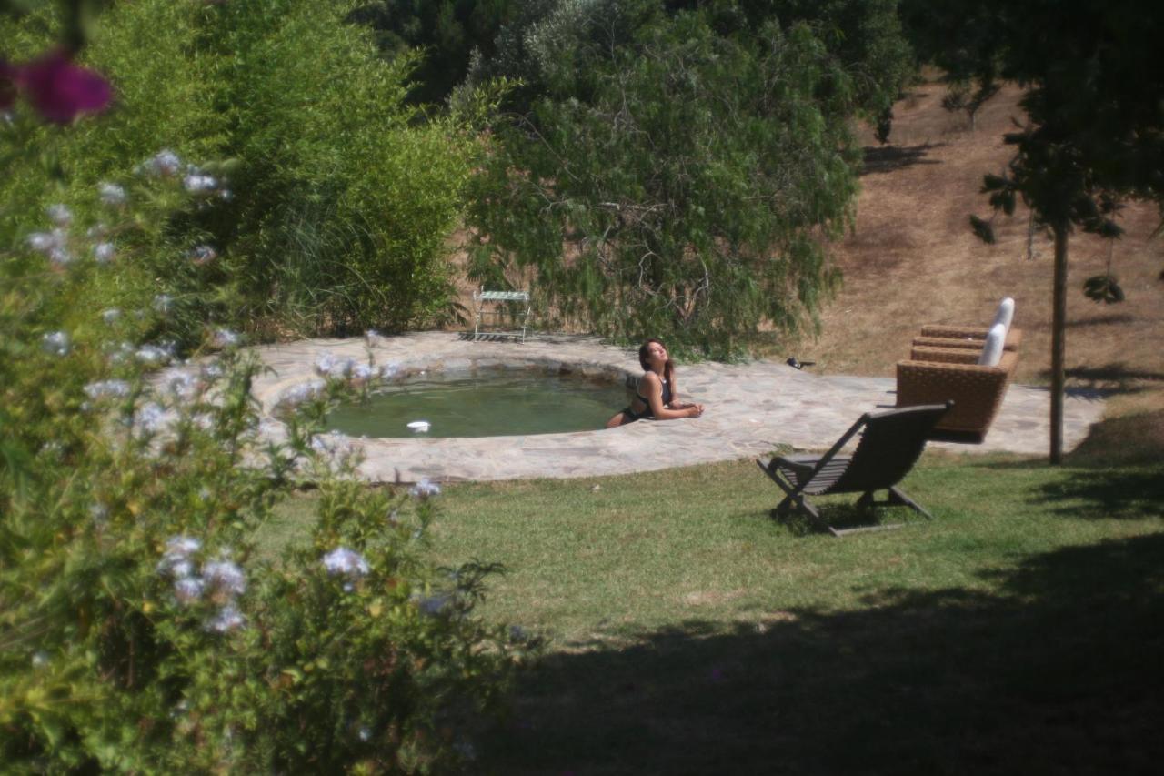 Quinta da Paz Eco-Lodge - Chambres d’hôtes São Luis