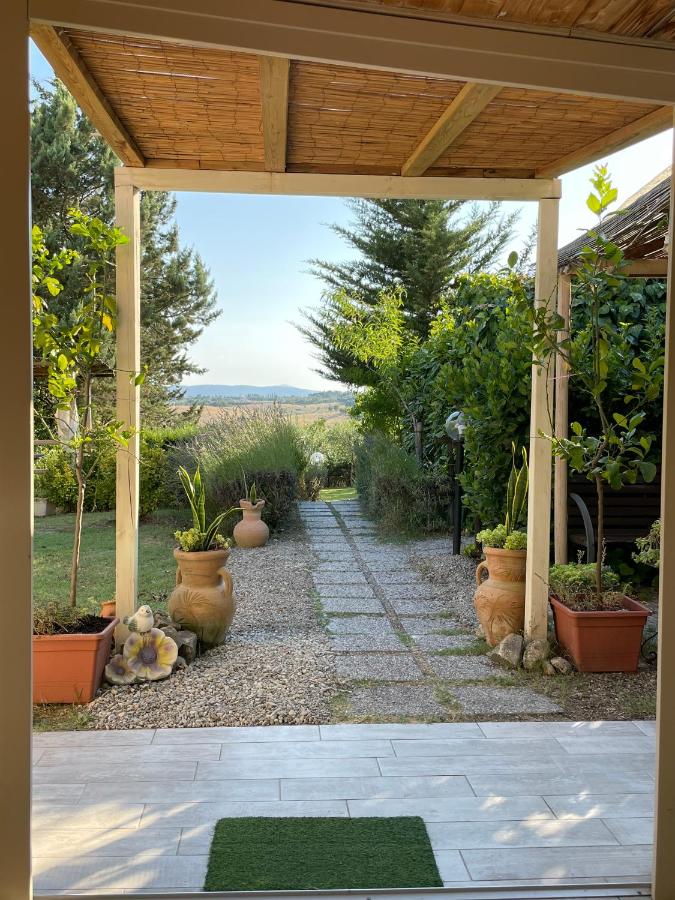 Il Lavandeto - farmhouse in the city - B&B
