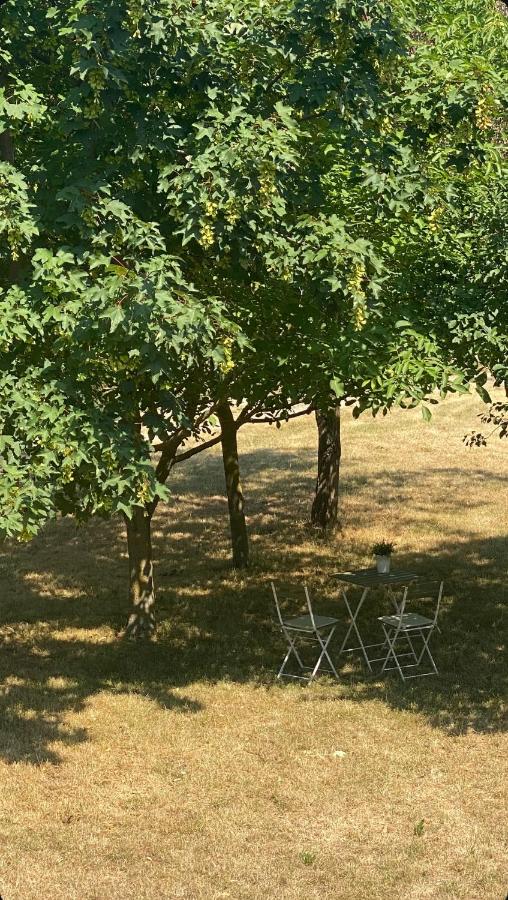 Tágas apartman Veszprém mellett - B&B Szentkirályszabadja