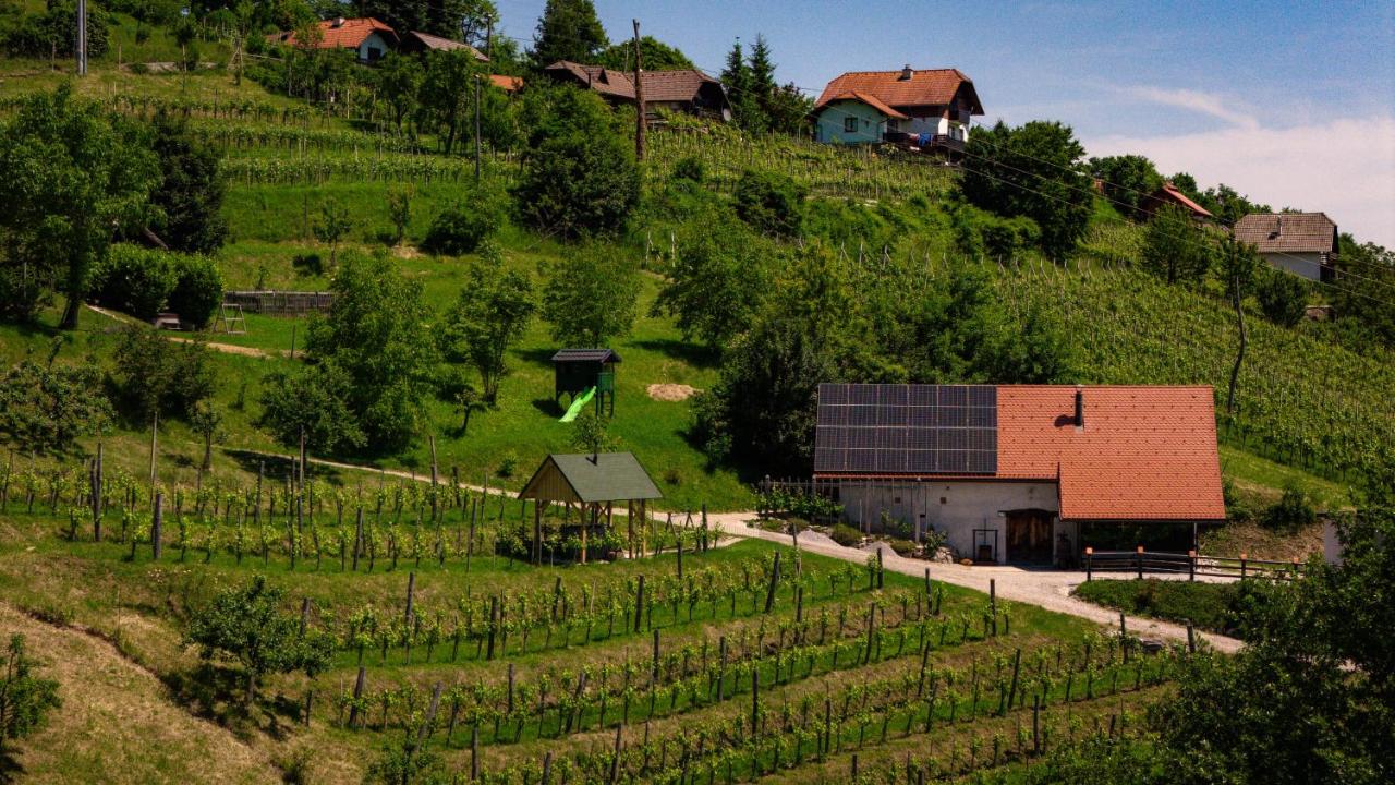 Vineyard cottage Škatlar 3 - B&B Otočec