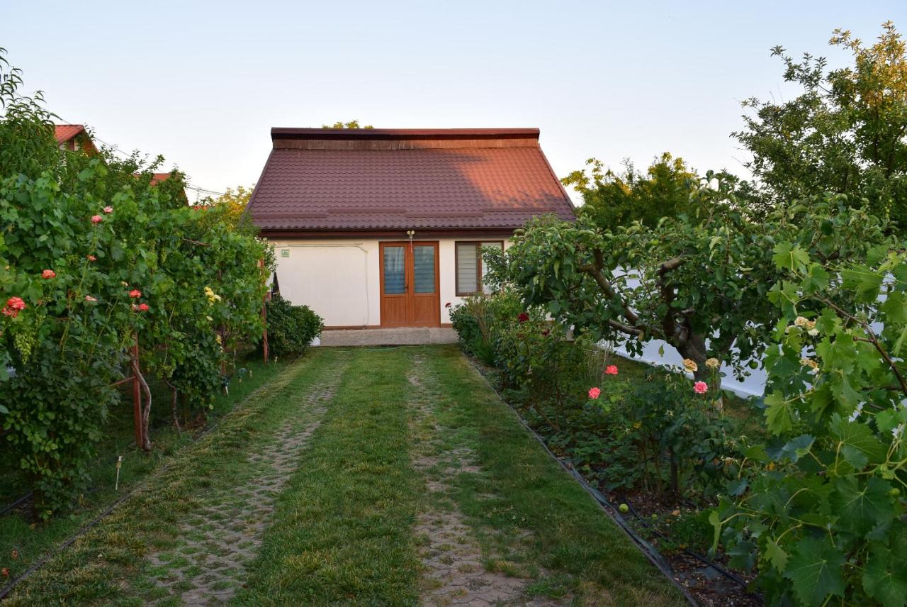 The Ranch House Bragadiru - B&B