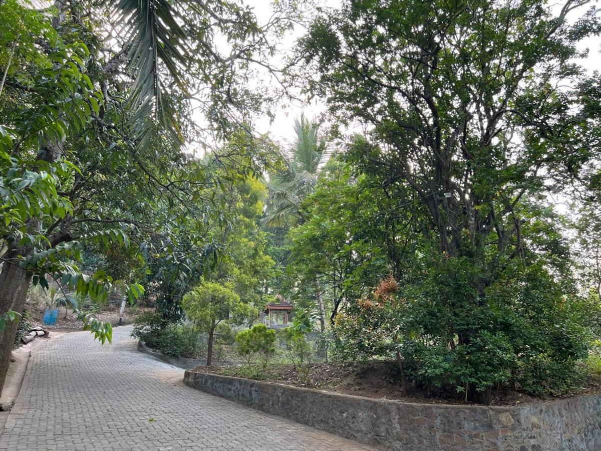 Kandy Neela Weralu - B&B