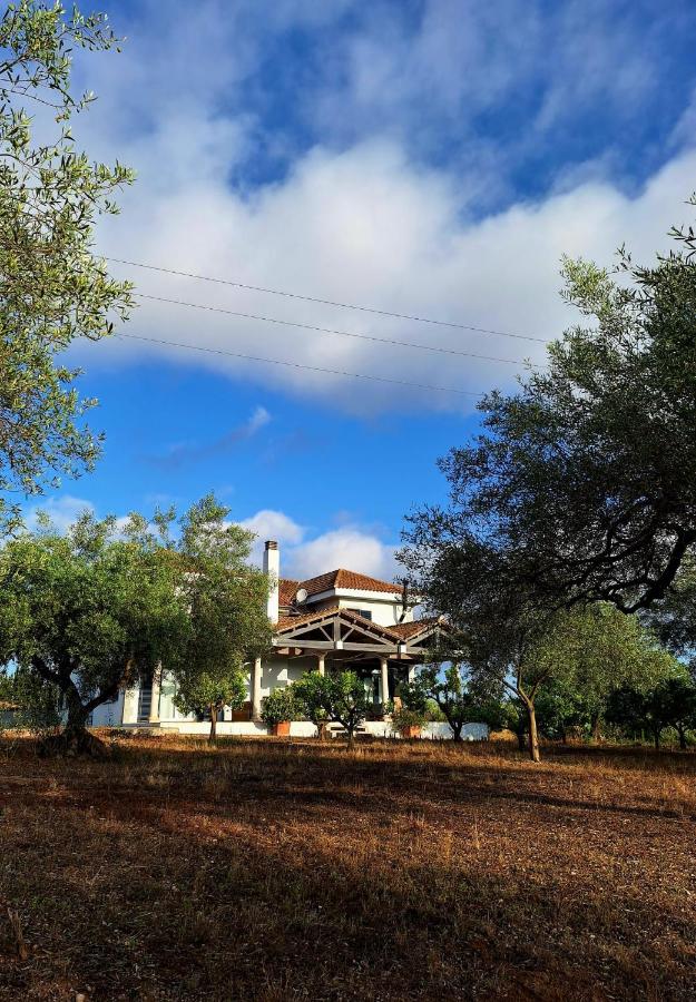 Landhuisvilla b&b Villa Pardalot - B&B