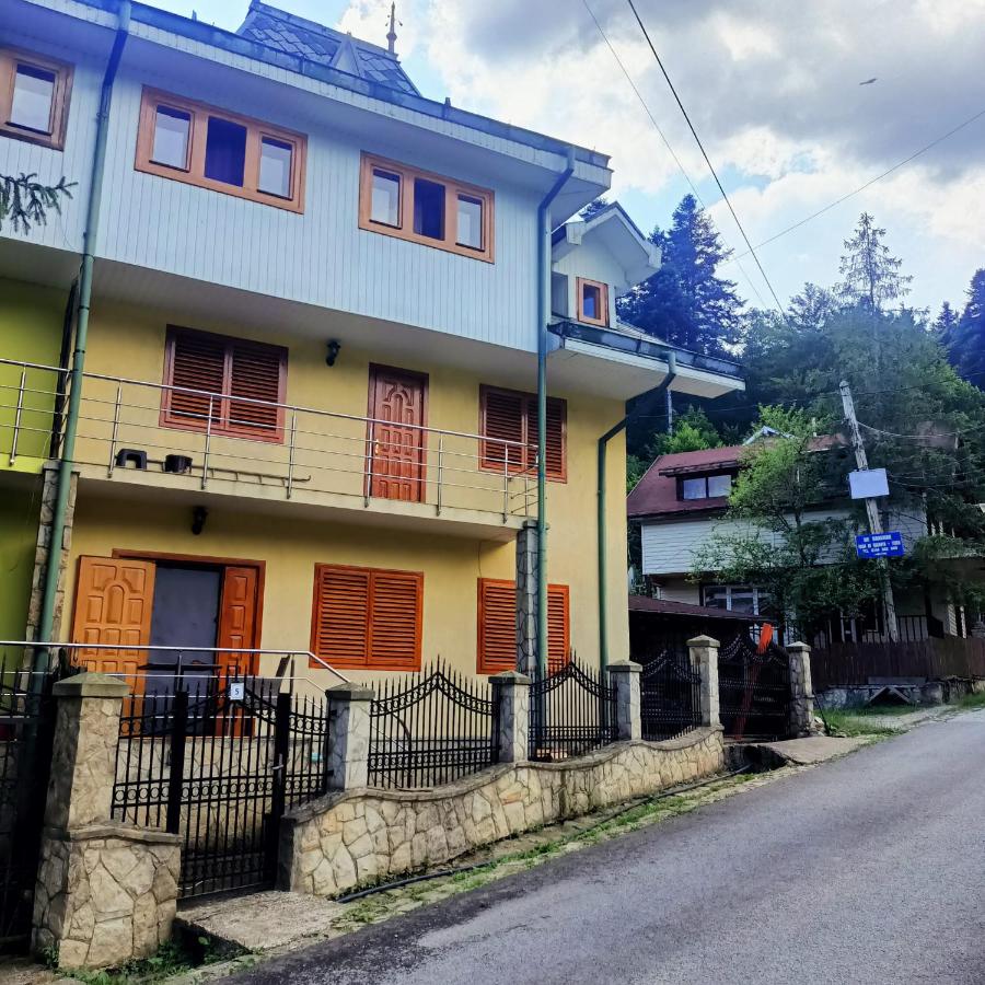 Vila Robert - Ferienwohnung Slănic-Moldova