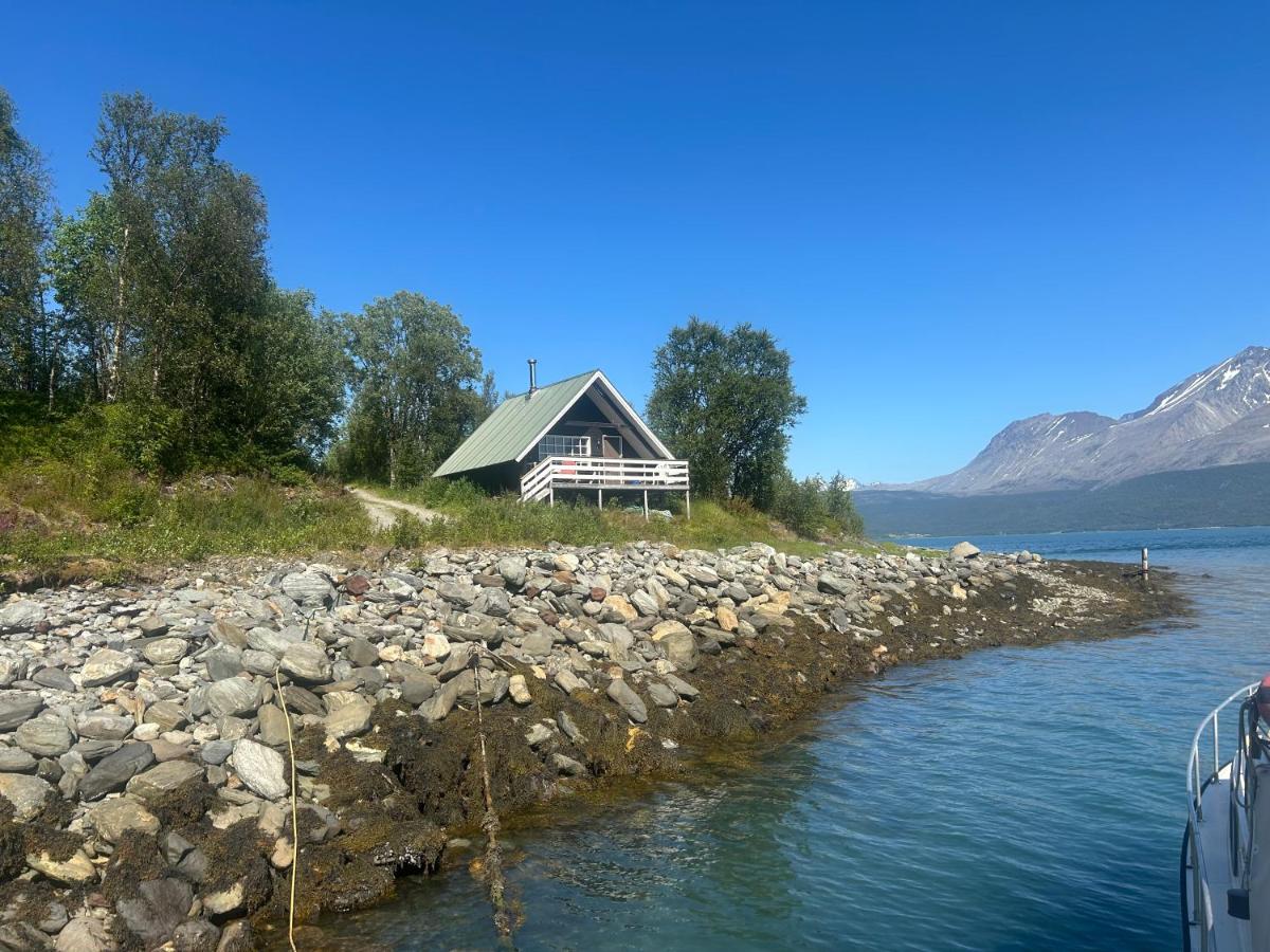 Sjursnes, Lyngen alps, Aurora borealis - B&B