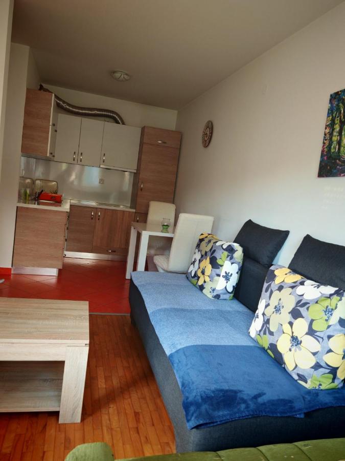 Apartman 6 - Dar Lux - Chambres d’hôtes Banja Koviljača