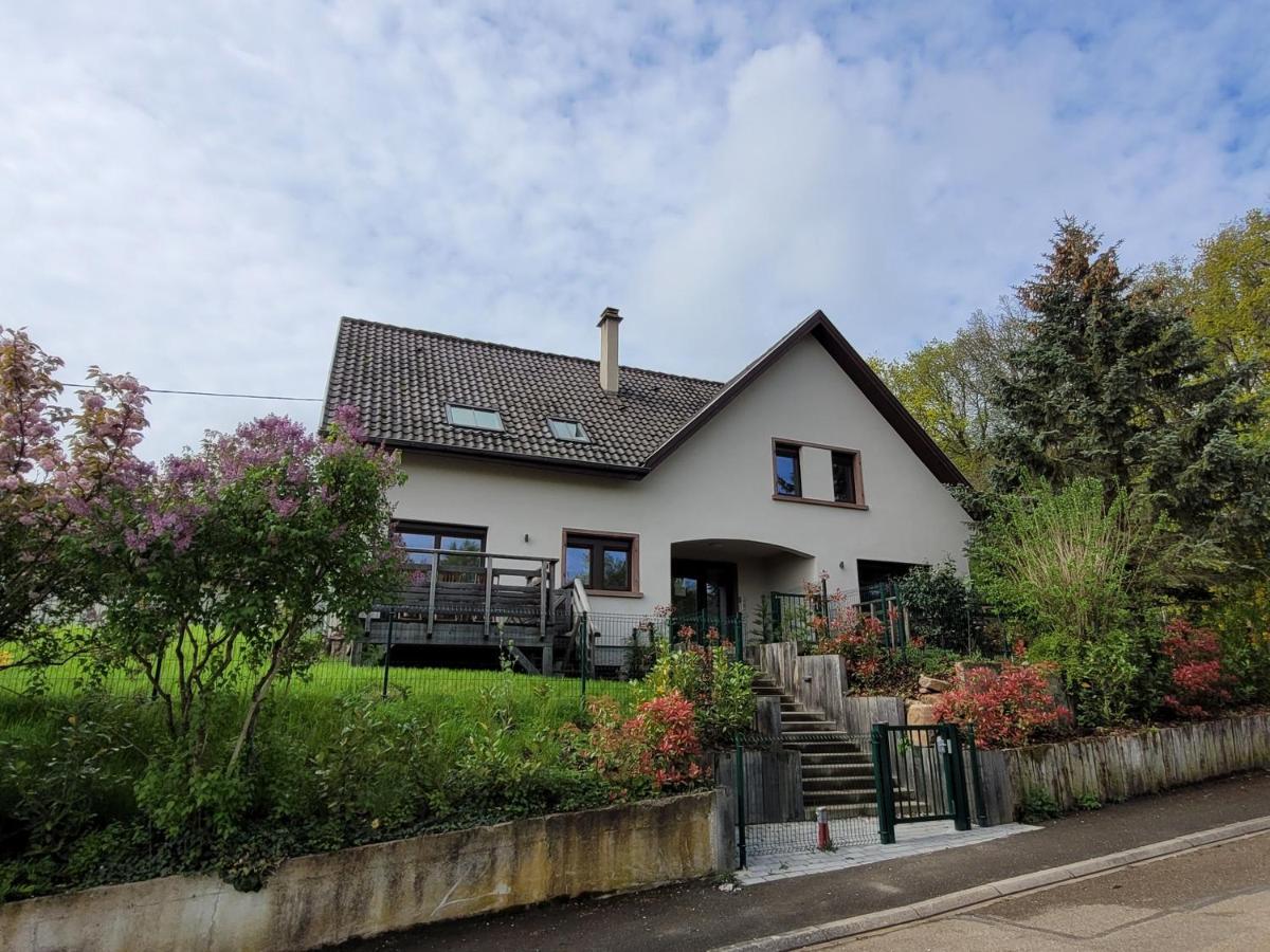 Les Gites du Holzweg - Bed and Breakfast Mittelbergheim