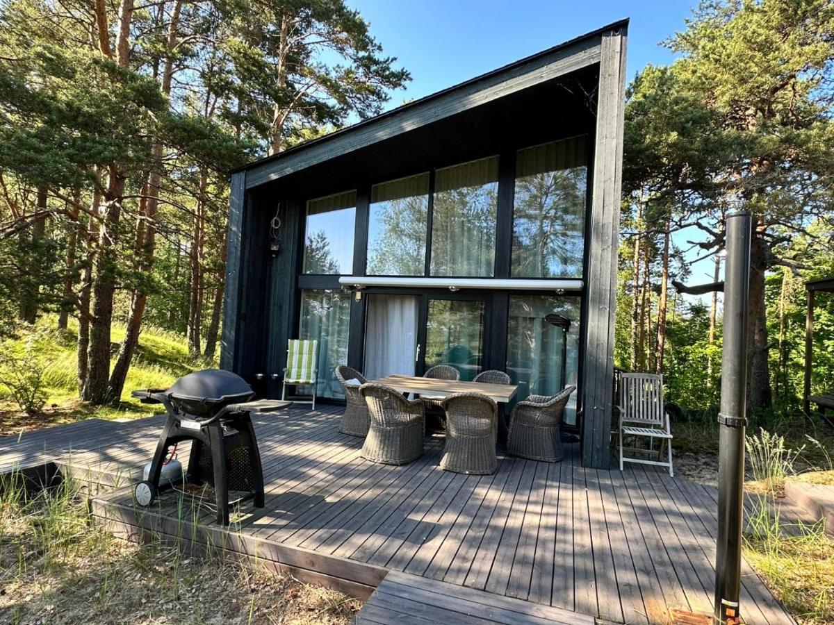 Privaatne saunamajaga suvila Peipsi kaldal - Ferienwohnung Katase