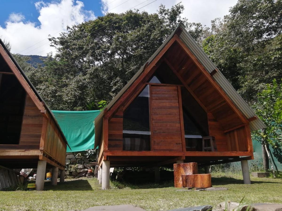 INCA COFFEE Lodge Lucmabamba - B&B