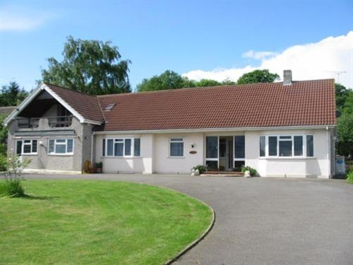 Wayside B&B - Ferienwohnung Chittoe