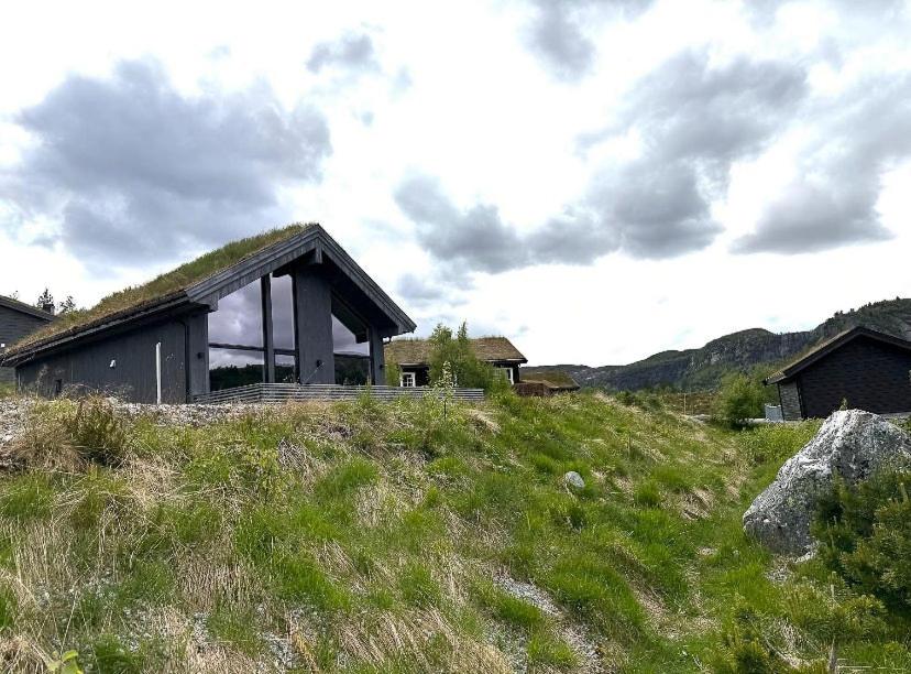Modern Family Cabin By Løefjellet Mountain - Ferienwohnung Rysstad