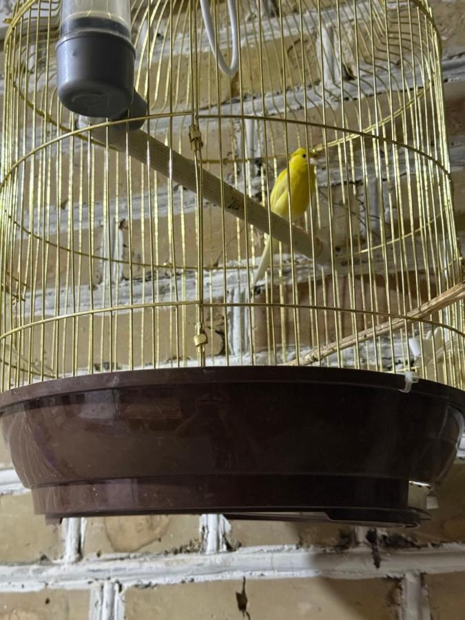 Mekhtar famili 18th century old hause historical UNESCO HERITAGE List 1 minutes to Bukhara Old Town Square Est-Since 1826 for Walk in Guest PARKING, COZY ROOM, BEST LOCATION AND STRONG WIFI - Chambres d’hôtes Boukhara