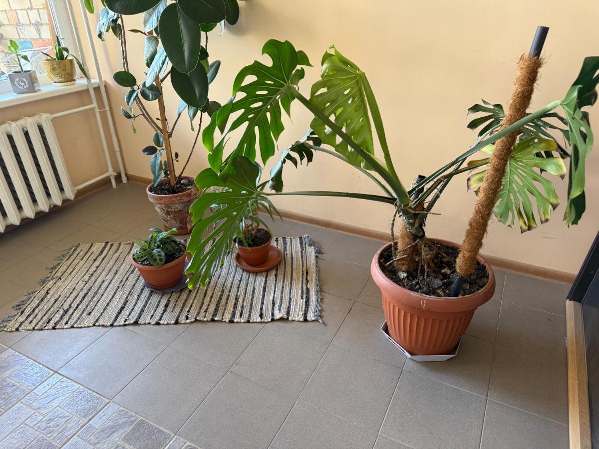 Poilsio Apartamentai - Chambres d’hôtes Palanga