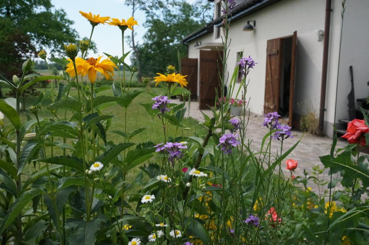 Winnica Brochów - B&B