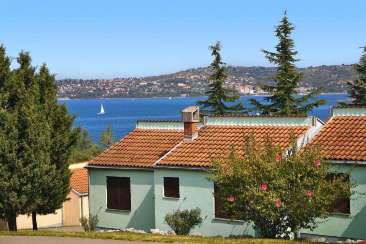 Holiday Homes in Umag - Istrien 11906 - Chambres d’hôtes Umag