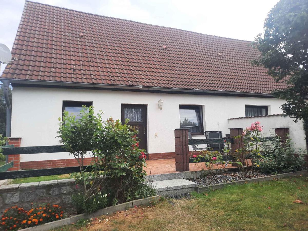 Apartment Zirkow 6 - B&B