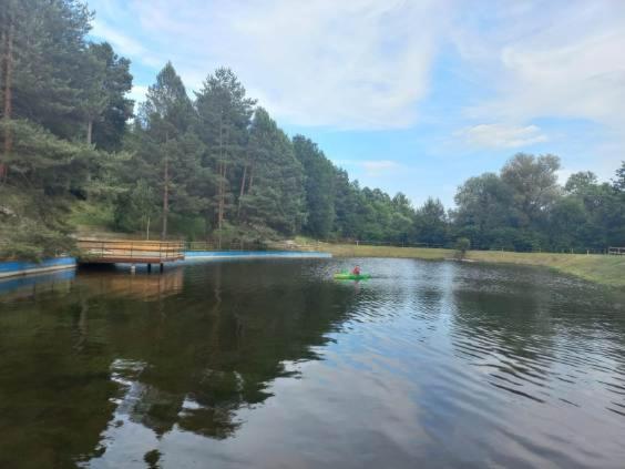 Domek Ptaszyniec - B&B
