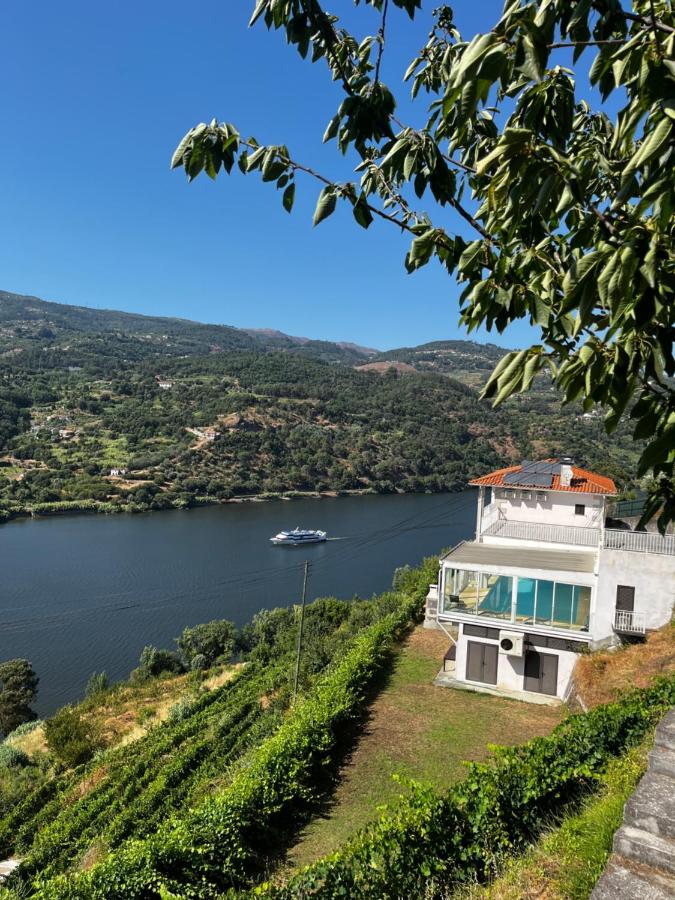 Douro Nest House - B&B Anreade