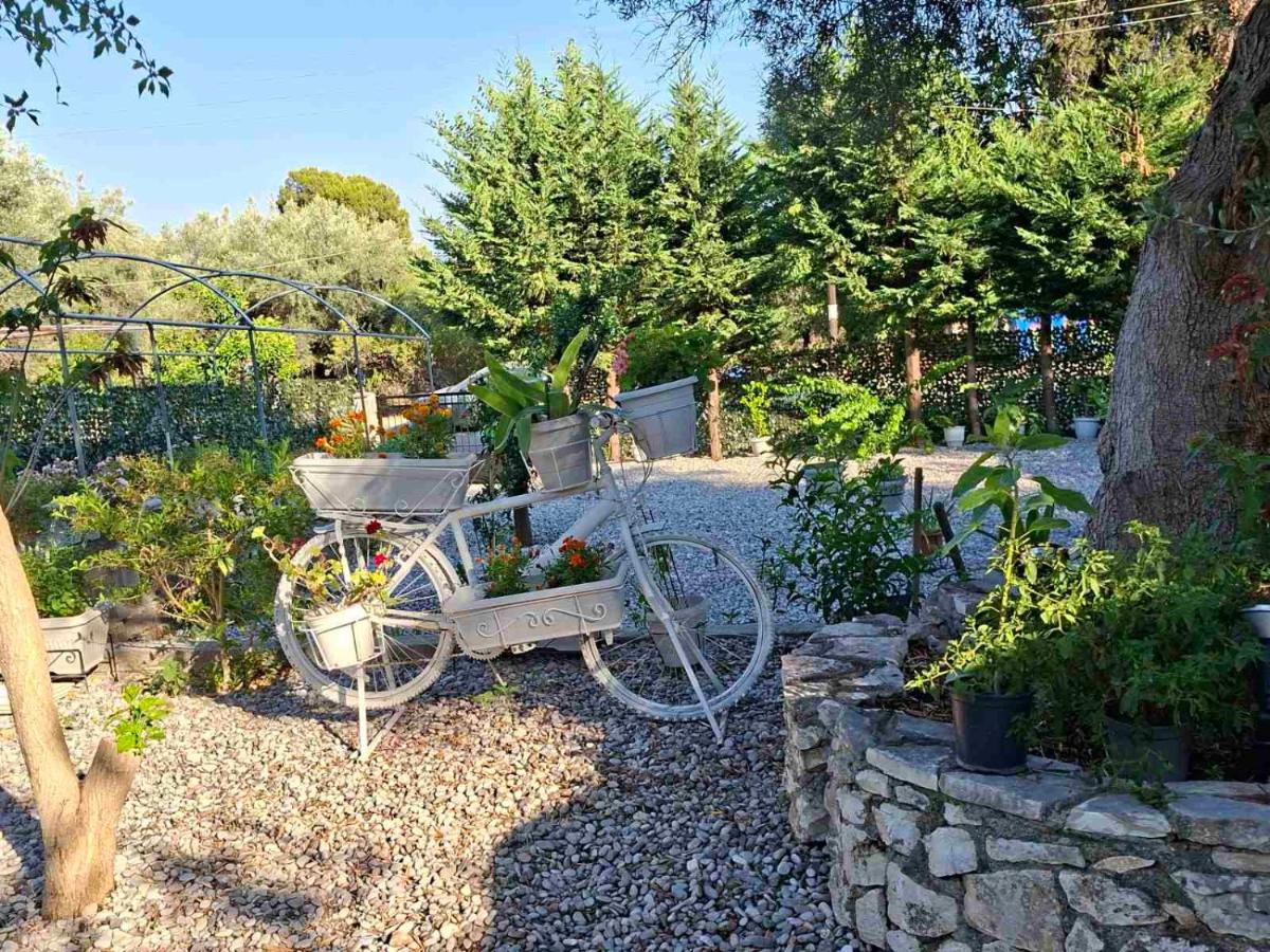 Villa Voula - Bed and Breakfast Nydri