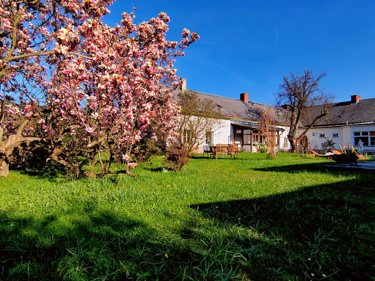 Gemütliche Landhauswohnung - B&B