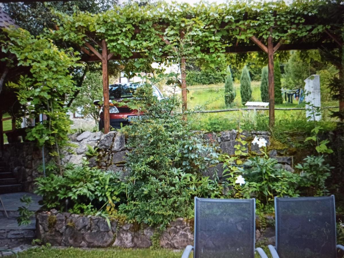 Uroczy domek letniskowy. - B&B Falsztyn