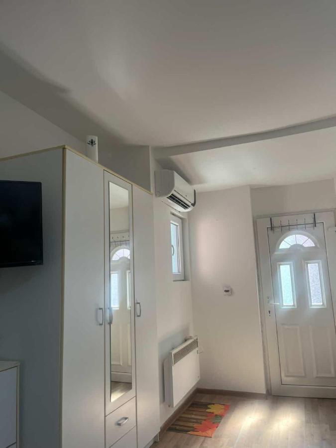 Mace MM :) - B&B Šabac