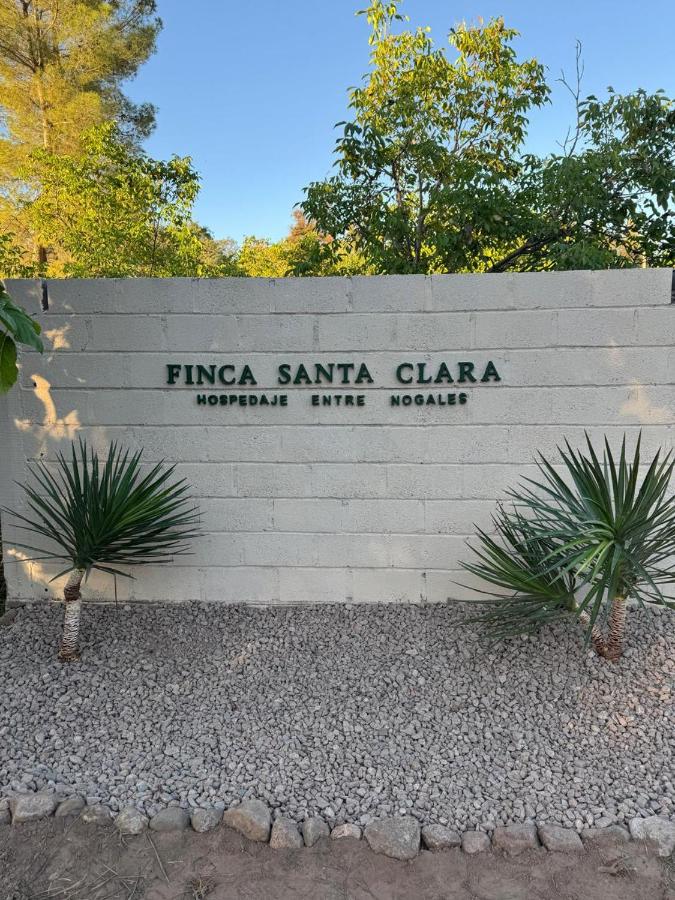 Finca Santa Clara - Bed and Breakfast Londres