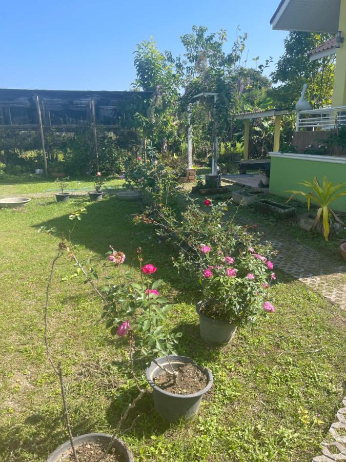 Ray's - B&B Ban Buak Ha