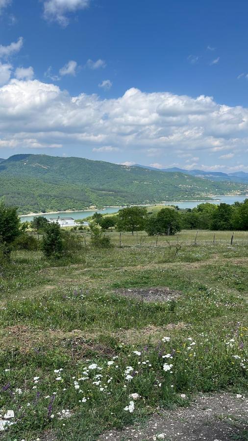 Algeti lake club - B&B Khop’isi