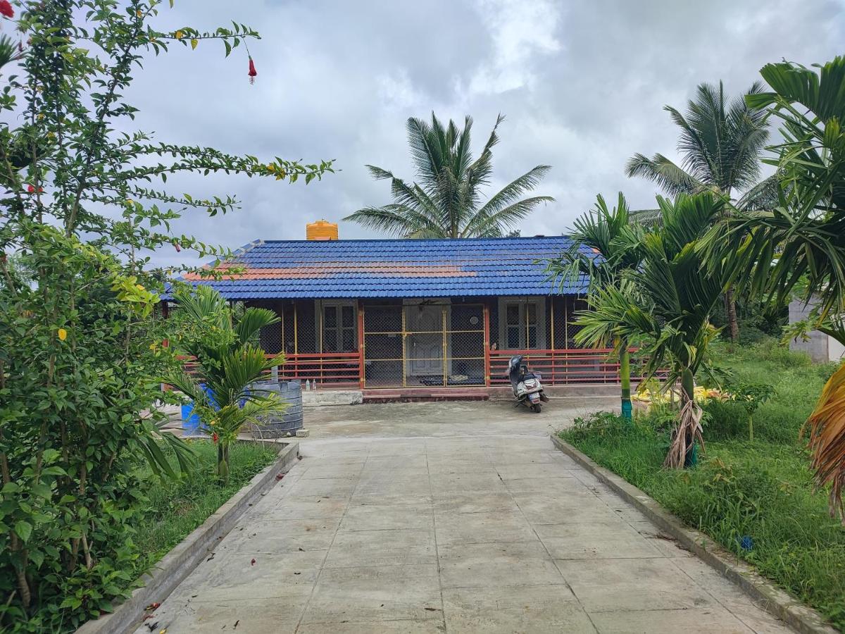 Mountain View Stay - B&B Kushālnagar