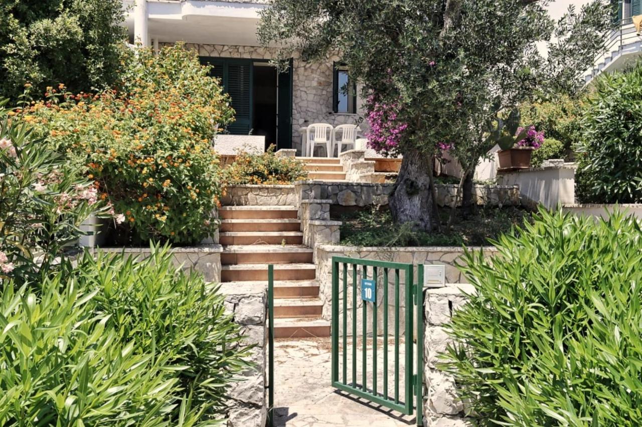 Appartamenti immersi nel verde - B&B Santa Cesarea Terme