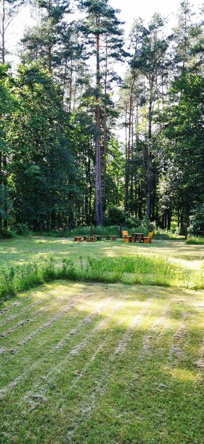 Leśne Domki Wejsuny - B&B