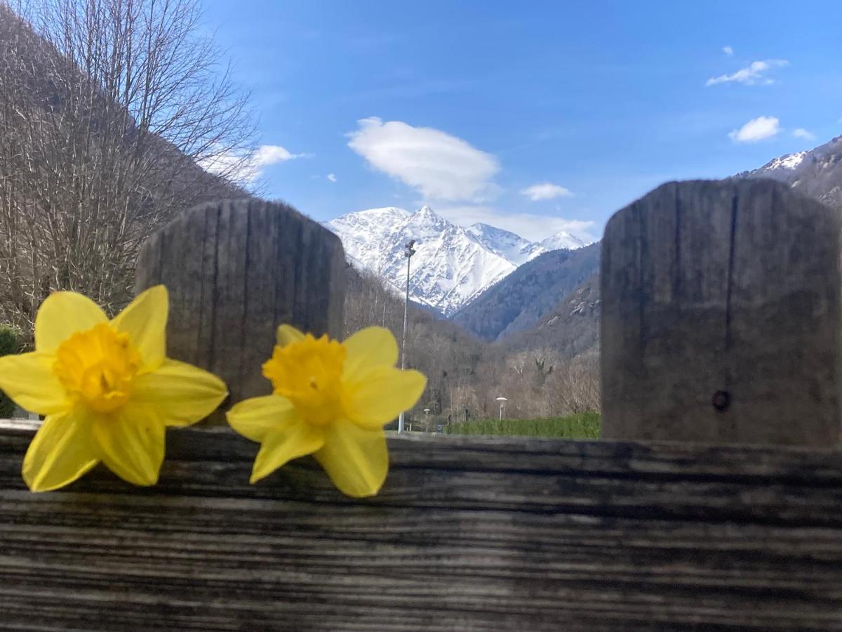 Yourte - B&B Auzat