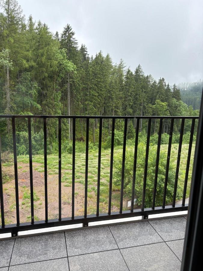Apartmán Iris - Chambres d’hôtes Černý Důl