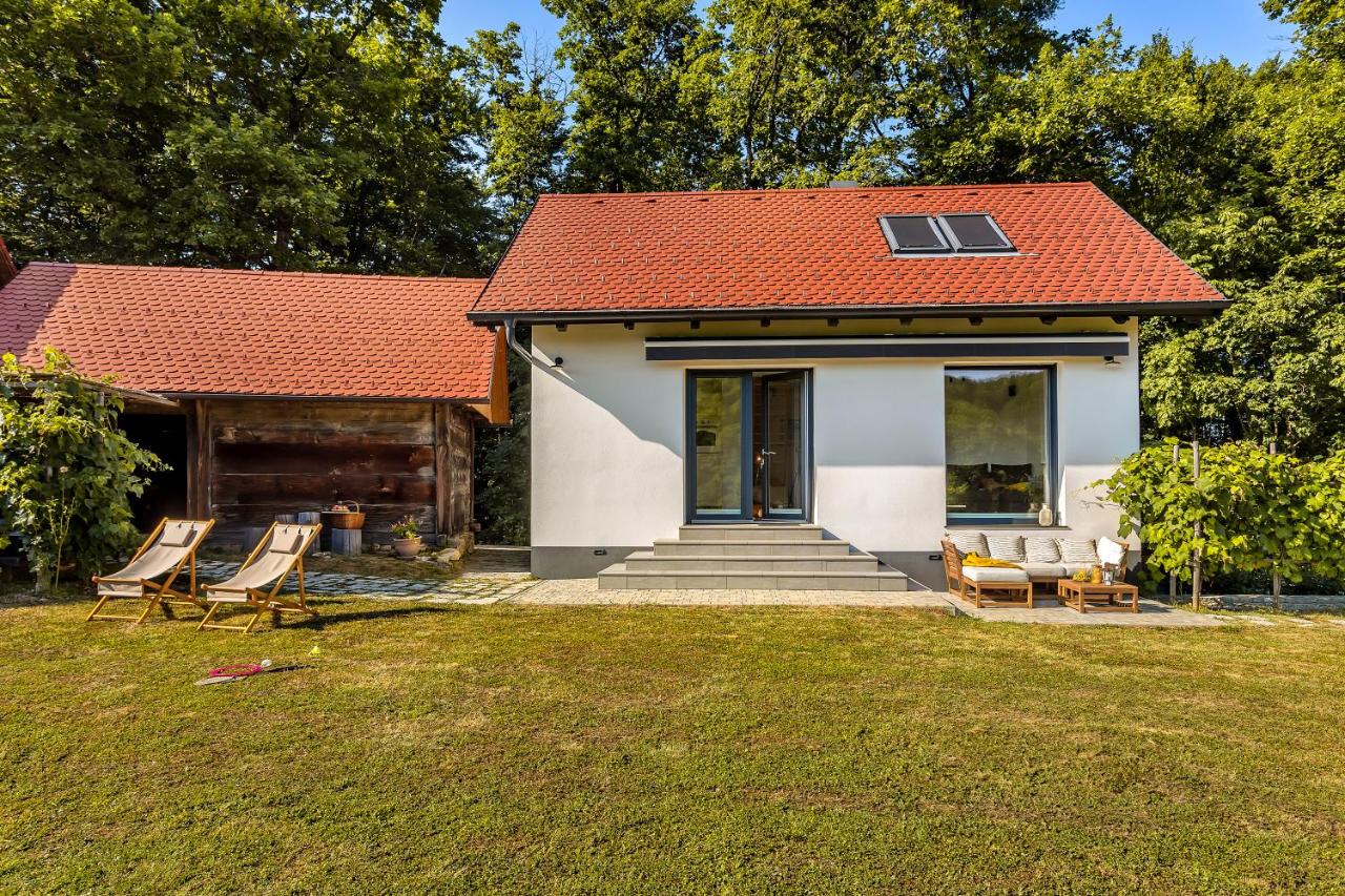 Lux House Natura with Sauna & Hot Tub - B&B Boršt