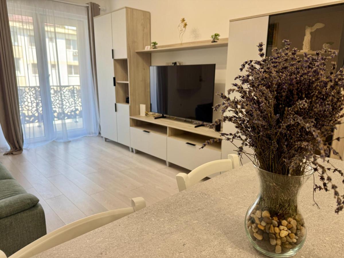 Staywell Accomodation city center with underground parking and AC - B&B Suceava