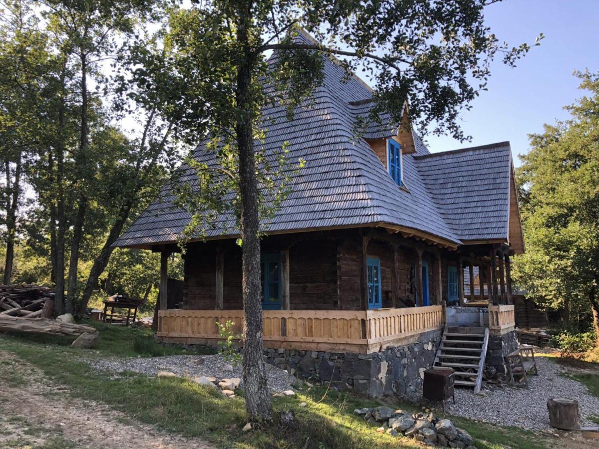 Poiana Creasta Cocoșului-Casa Floare De Nu Mă Uita - B&B Breb