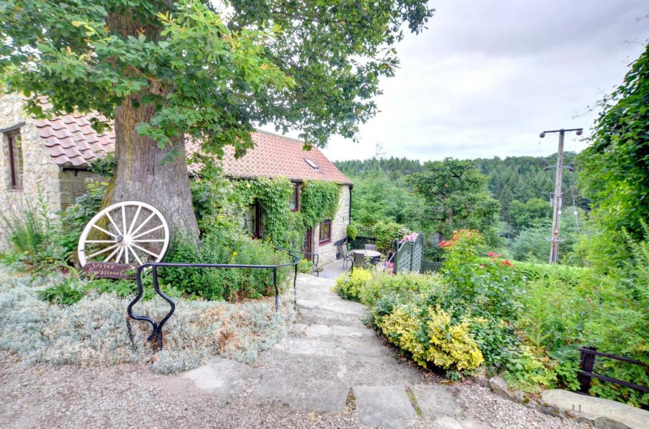 Waterswallow Cottage - B&B