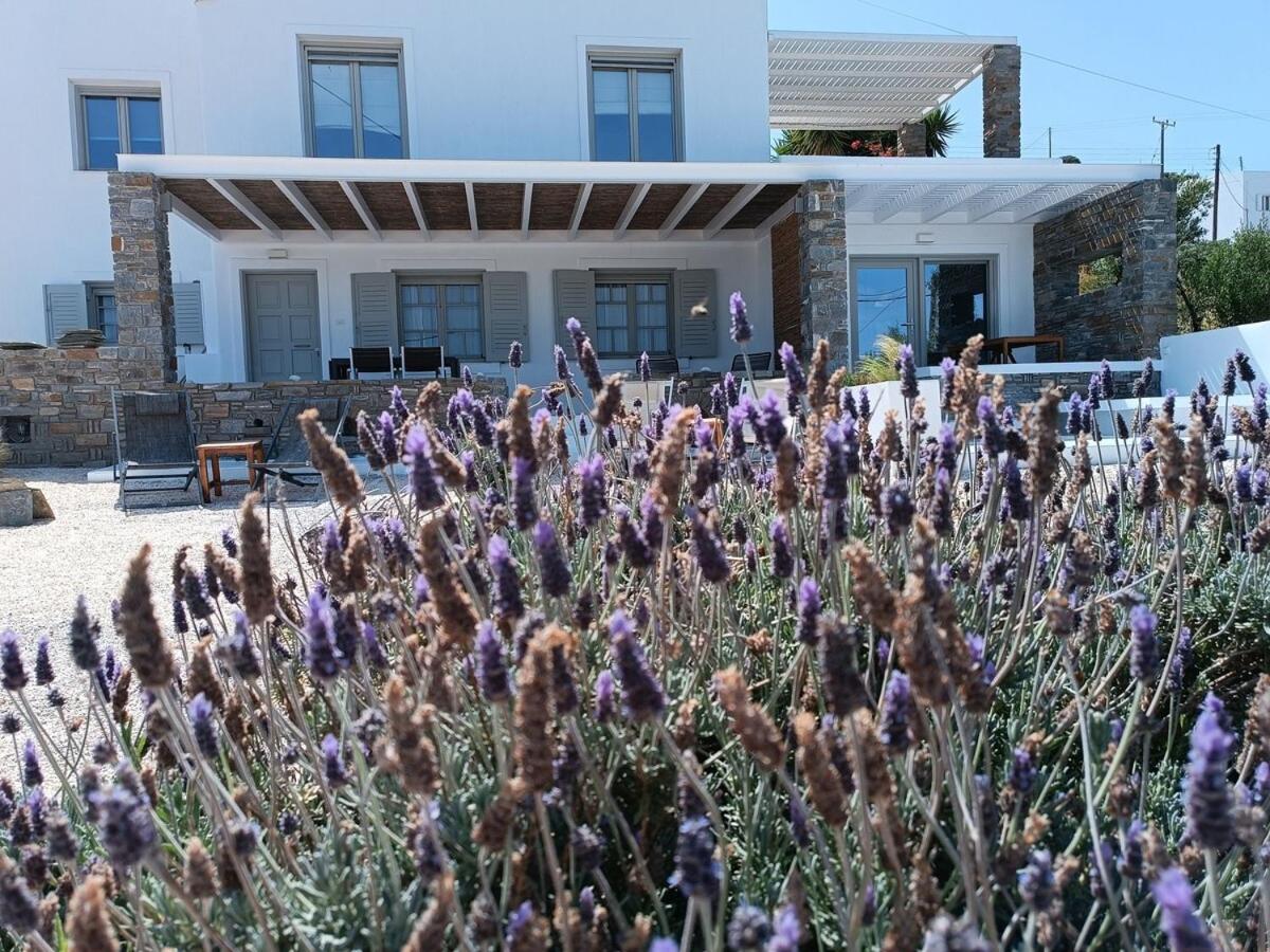 Nesaea seafront house - B&B Parasporos