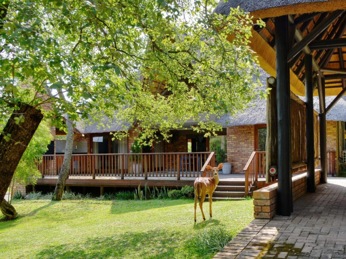 Kruger Park Lodges - Pangane M Properties - Ferienwohnung Hazyview