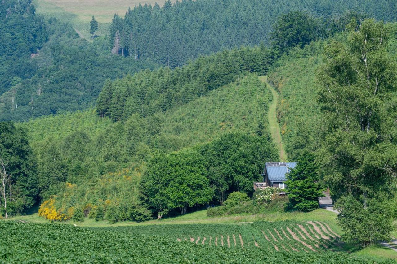 Waldhaus Wangen - Bed and Breakfast Burg-Reuland
