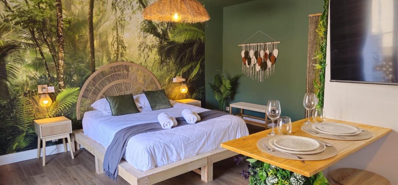 Appartement 1 Chambre