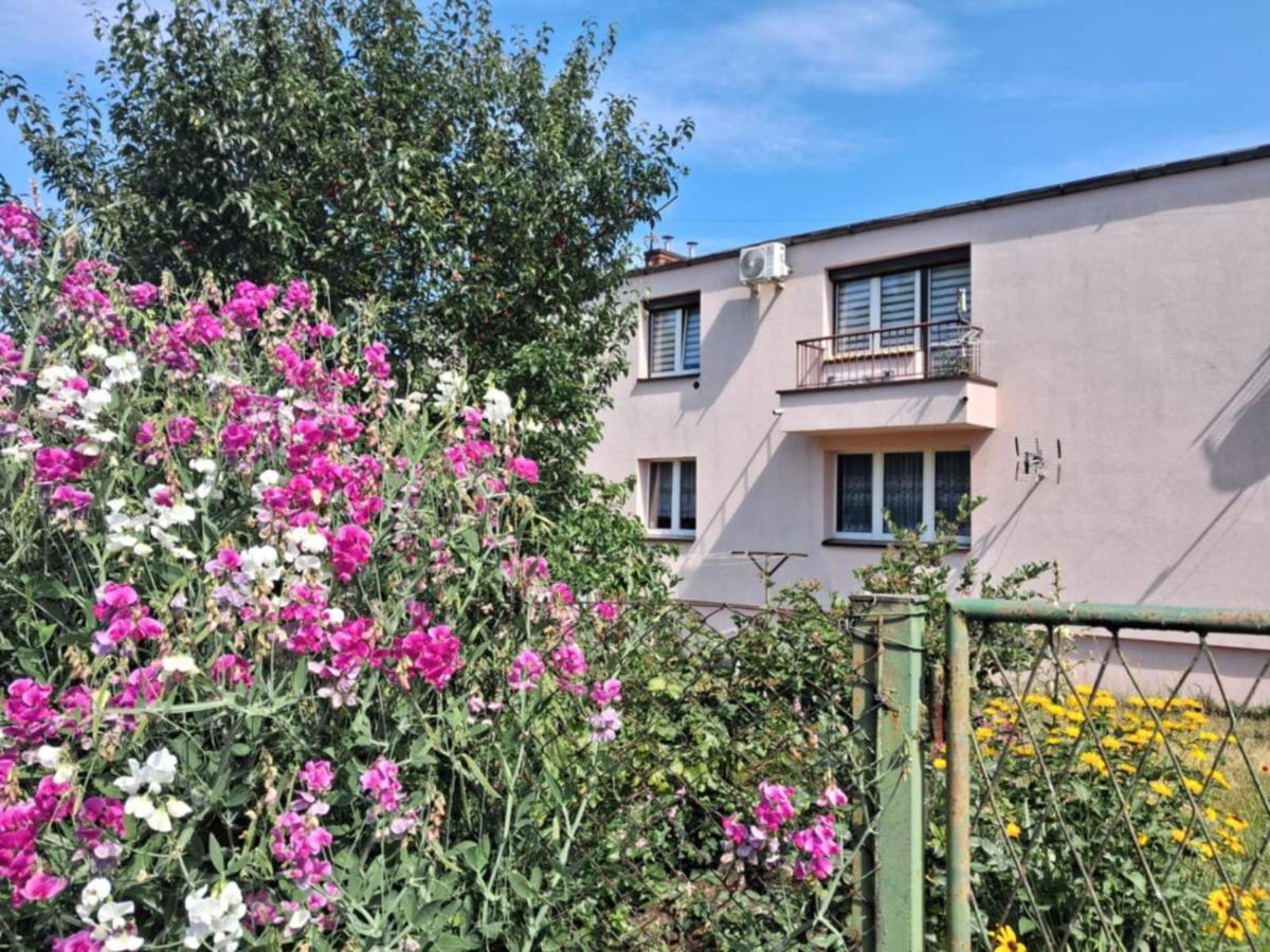 Apartment, 10 min od lotniska - B&B
