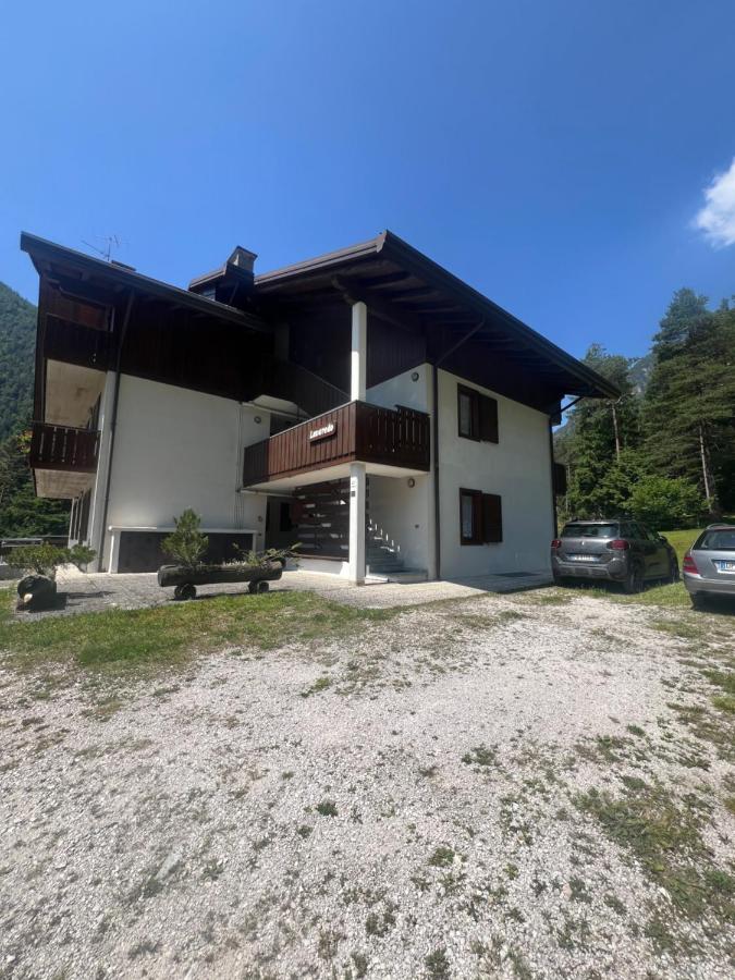 Apartment in Pian della Velma - B&B Auronzo di Cadore