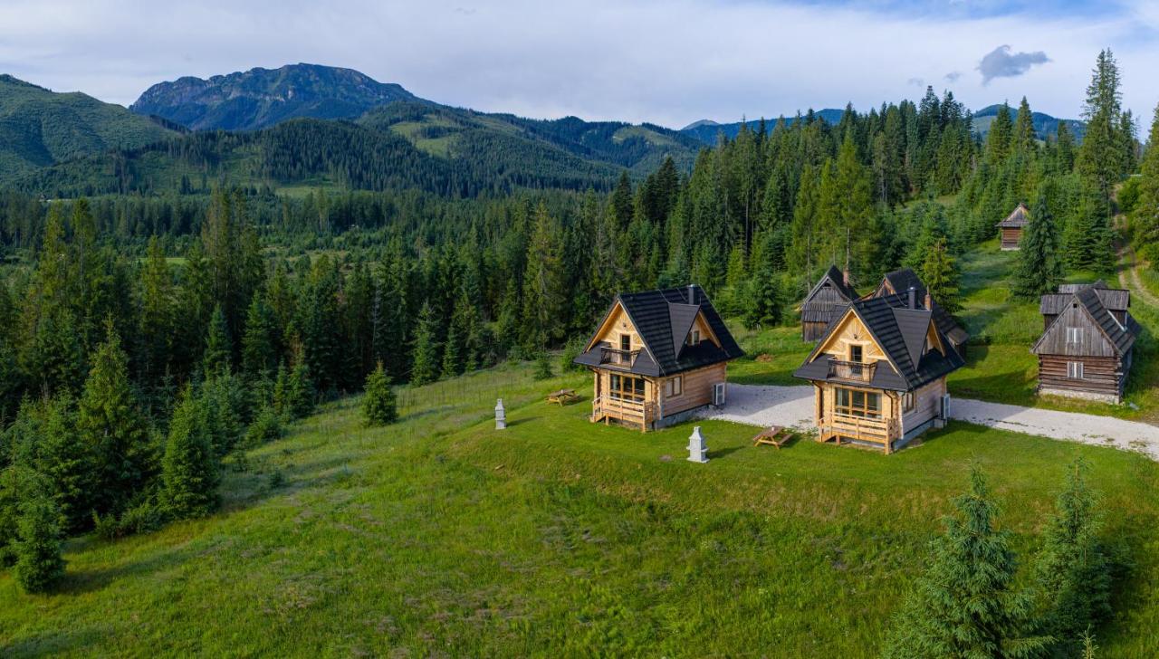 Niedźwiedź nad Chochołowską